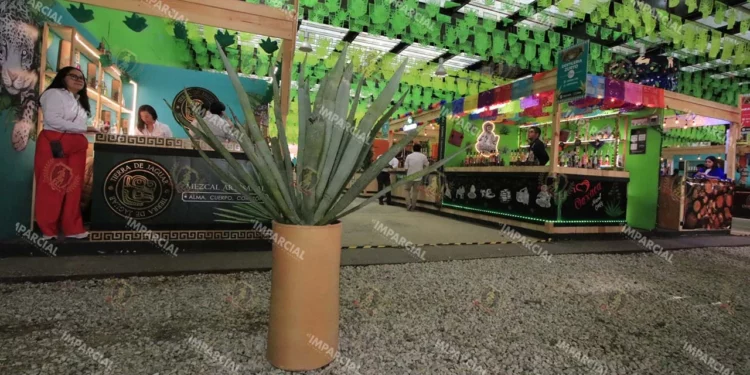 Foto: Adrián Gaytán // Alistan la Feria del Mezcal como parte de festividades de los Lunes del Cerro.