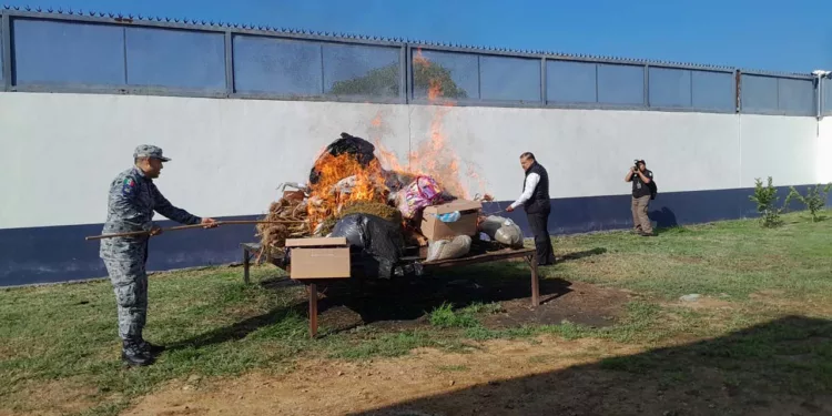 Casi una tonelada de estupefacientes ardió en el patio de la FGR en San Bartolo Coyotepec.