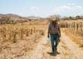 ¿Cuánto dura la canícula y por qué es difícil predecirla?