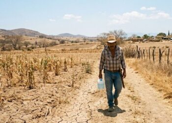 ¿Cuánto dura la canícula y por qué es difícil predecirla?