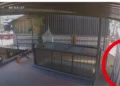 Video da giro al caso del ciclista arrollado por pipa en Santa Cruz Xoxocotlán, Oaxaca