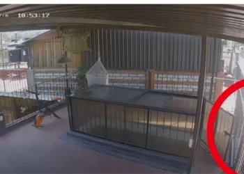 Video da giro al caso del ciclista arrollado por pipa en Santa Cruz Xoxocotlán, Oaxaca