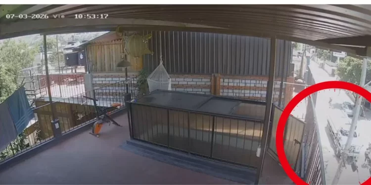 Video da giro al caso del ciclista arrollado por pipa en Santa Cruz Xoxocotlán, Oaxaca