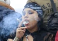 ¿La marihuana ya es legal en México? Cofepris aclara la resolución de la Suprema Corte