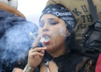 ¿La marihuana ya es legal en México? Cofepris aclara la resolución de la Suprema Corte