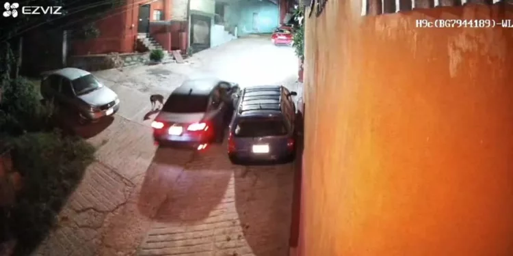 El afectado hizo un llamado a la ciudadanía para compartir la información.