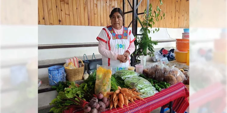 Este espacio desde hace diez años promueve la agricultura sustentable, el consumo local y los alimentos libres de químicos.