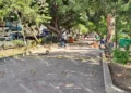 Foto: Jesús Santiago // El activista reiteró su llamado a atender los árboles y mejorar las jardineras.