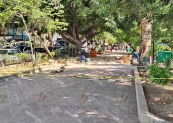 Foto: Jesús Santiago // El activista reiteró su llamado a atender los árboles y mejorar las jardineras.