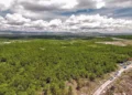 En Tepelmeme Villa de Morelos Semarnat llevó a cabo un evento dentro de la Jornada de Reforestación Nacional