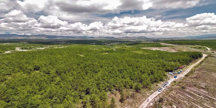 En Tepelmeme Villa de Morelos Semarnat llevó a cabo un evento dentro de la Jornada de Reforestación Nacional