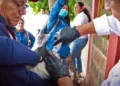 Esta plaga que afecta al ganado y puede representar un riesgo sanitario.