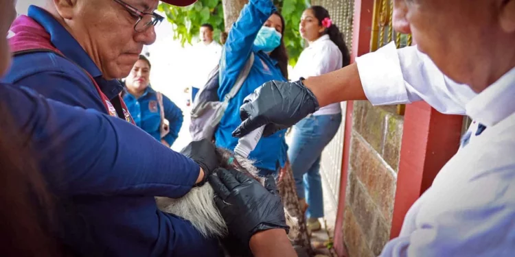 Esta plaga que afecta al ganado y puede representar un riesgo sanitario.