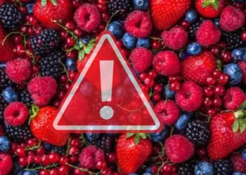Ojo con tus frutos rojos: EE. UU. ordena retiro masivo por brote de E. coli