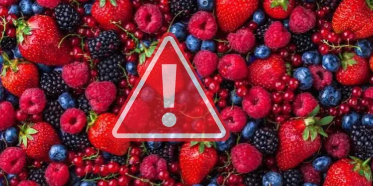 Ojo con tus frutos rojos: EE. UU. ordena retiro masivo por brote de E. coli