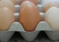 ¿Tienes estas marcas de huevo? Ordenan retirar 19 millones en EE. UU. por brote de salmonela