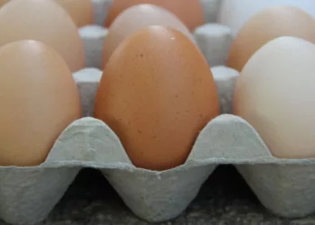 ¿Tienes estas marcas de huevo? Ordenan retirar 19 millones en EE. UU. por brote de salmonela