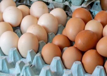 ¿Por qué en Estados Unidos los huevos se refrigeran y en México no? El secreto del cascarón
