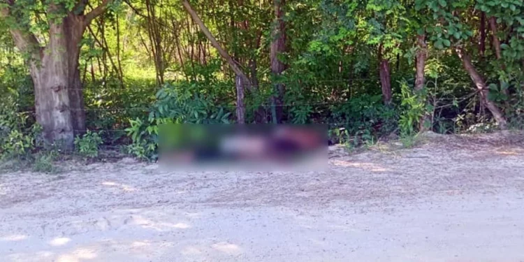 Los restos de los dos jóvenes fueron enviados al anfiteatro en Puerto Escondido en espera de que sus familiares acudan a realizar la identificación legal.