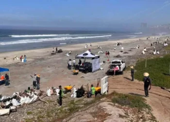 Foto: redes sociales // La contaminación amenaza la actividad turística y la salud de habitantes de Puerto Escondido.