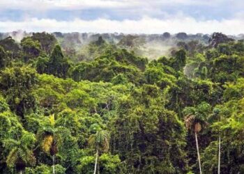 Rechazan indígenas zoques desviar agua a petroquímicas