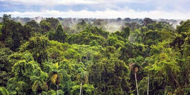Rechazan indígenas zoques desviar agua a petroquímicas