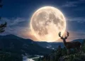 ¡Es hoy! Luna de Ciervo 2026: Por qué se llama así, cómo verla y consejos para fotografiarla