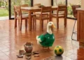 Familia del pato Merlín acceda a una vivienda del INVI