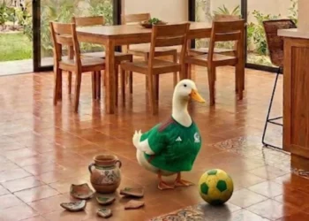 Familia del pato Merlín acceda a una vivienda del INVI