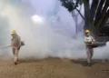 Foto: Gobierno de Oaxaca // Refuerzan nebulización contra el dengue en espacios públicos.