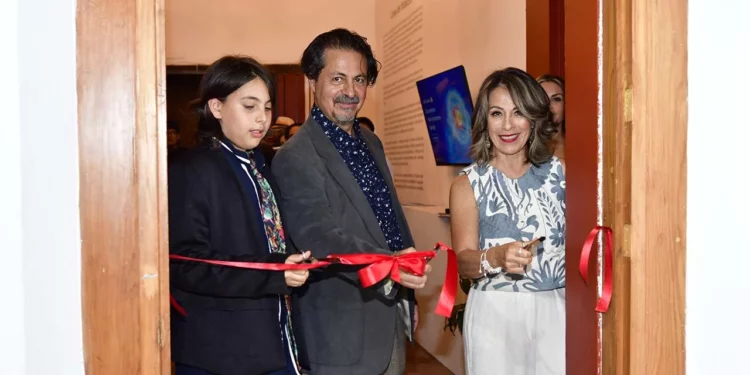 Reúne pinturas de gran formato e instalaciones creadas a partir de la experiencia de la paternidad y del simbolismo de las semillas.