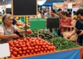 Baja el precio del jitomate y otros alimentos; inflación cede en julio