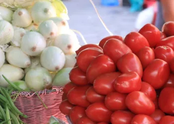 ¿Dónde comprar más barato? Profeco revela precios de jitomate, cebolla y jalapeño