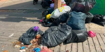 Puerto Escondido, colapsado por la basura; agente municipal exige solución inmediata