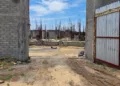 Atacan a balazos obra de la nueva universidad del CESEEO; un trabajador resulta gravemente herido