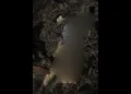 VIDEO| ¡Dolor e indignación! Nadia Arely es la víctima del choque que también cobró la vida de su mascota en San Antonio de la Cal