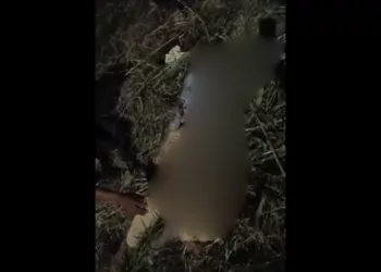 VIDEO| ¡Dolor e indignación! Nadia Arely es la víctima del choque que también cobró la vida de su mascota en San Antonio de la Cal