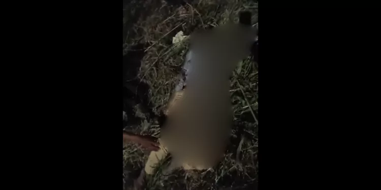 VIDEO | ¡Dolor e indignación! Nadia Arely es la víctima del choque que también cobró la vida de su mascota en San Antonio de la Cal