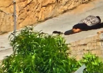 Asesinan a balazos a una mujer en Santiago Jamiltepec; la violencia persiste en la Costa