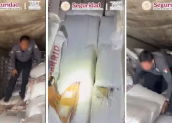 Decomisan más de tres toneladas de metanfetamina ocultas en alimento para ganado