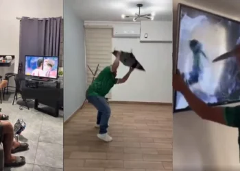 IMÁGENES | ¡Cae “El Tri” y estallan los berrinches! Videos virales reabren el debate sobre violencia y frustración en el futbol