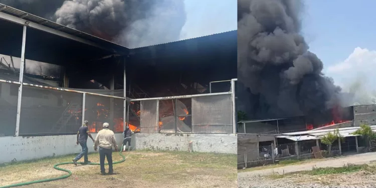 Fuerte incendio devora bodega de exportadora de mangos en Chahuites