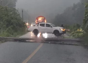 Poste derribado por lluvias bloquea la Carretera Federal 175 en Santa María Jacatepec