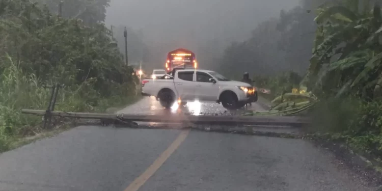Poste derribado por lluvias bloquea la Carretera Federal 175 en Santa María Jacatepec
