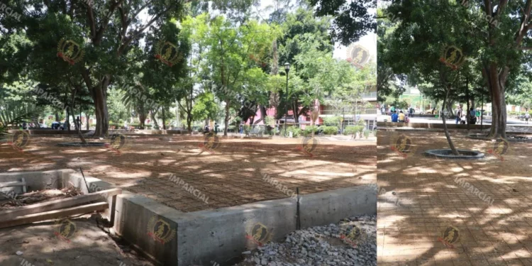 “Basta de concreto”: vecinos exigen frenar obras en El Llano y acusan riesgo ambiental en Oaxaca