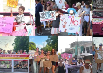 ¡Basta de crueldad! Decenas marchan en puerto escondido para exigir justicia por animales torturados y asesinados