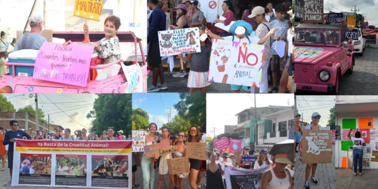 ¡Basta de crueldad! Decenas marchan en Puerto Escondido para exigir justicia por animales torturados y asesinados