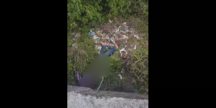 VIDEOS | ¡Hallazgo múltiple cimbra Valles Centrales! Dos mujeres aparecen sin vida en punto ligado a un crimen reciente