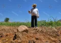 Foto: Archivo El Imparcial – ilustrativa // Las precipitaciones durante la segunda quincena de junio contribuyeron a la disminución de la sequía moderada en territorio nacional.