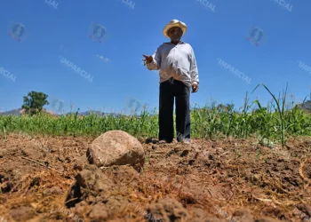 Foto: Archivo El Imparcial – ilustrativa // Las precipitaciones durante la segunda quincena de junio contribuyeron a la disminución de la sequía moderada en territorio nacional.